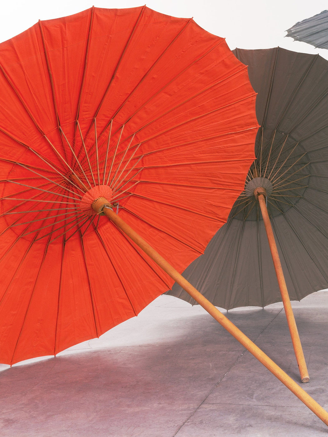 Amapola Umbrellas